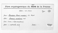 Image Associated With the Occurence